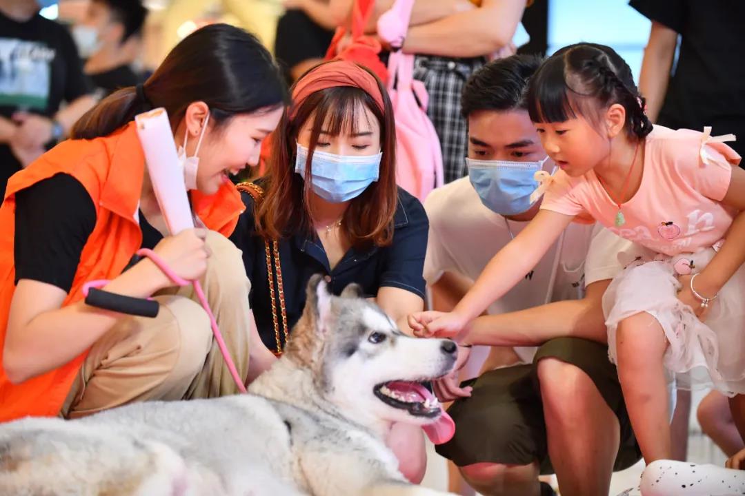 CPF活动预告|阿派第30届领养日——人间值得，只要它能与你相遇