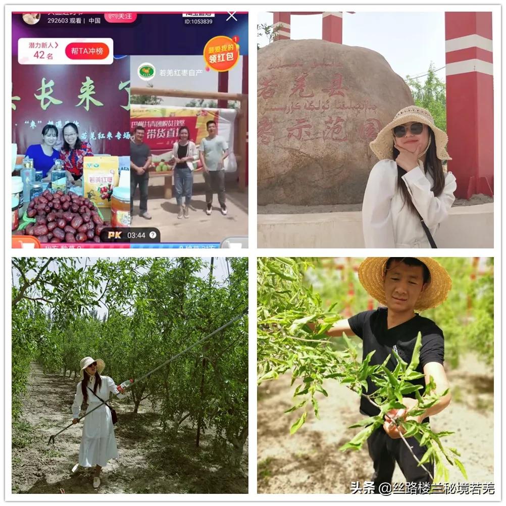 山东平阴网红县长带货,若羌红枣县长代言