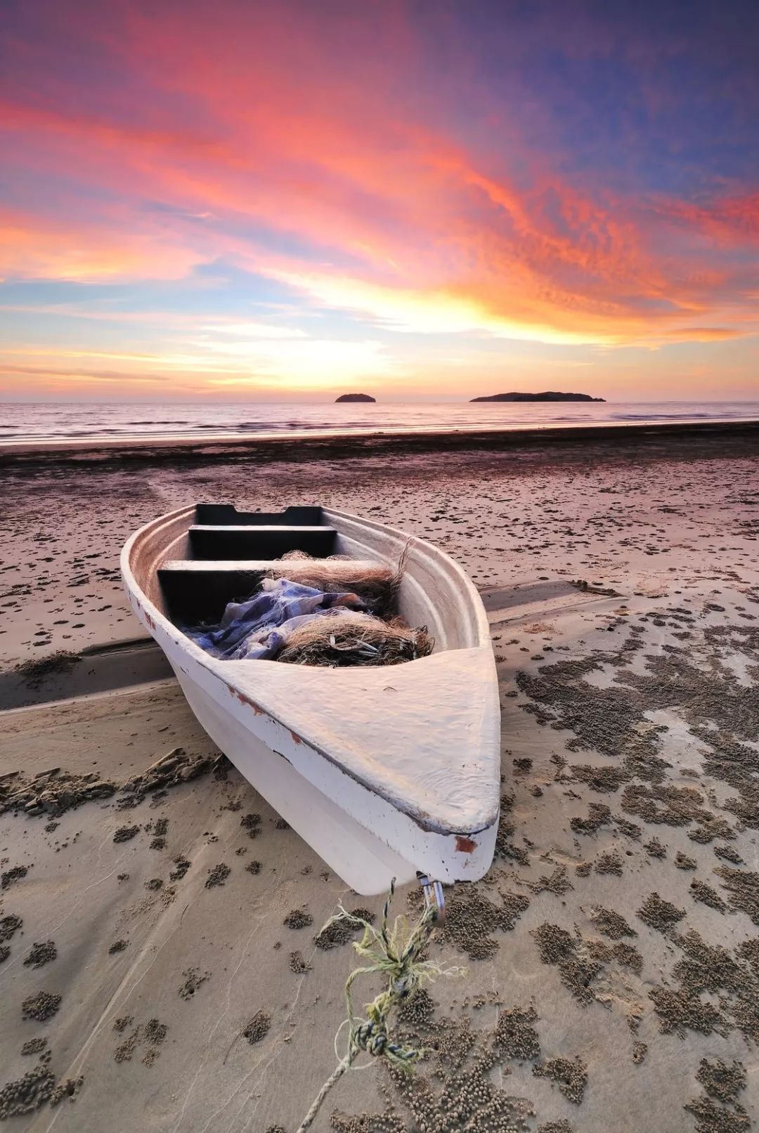 吃19块钱的海鲜自助,深圳133块钱海鲜吃到爽