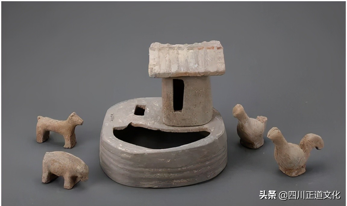 猫的故事高清图片,盘点猫的曾经故事