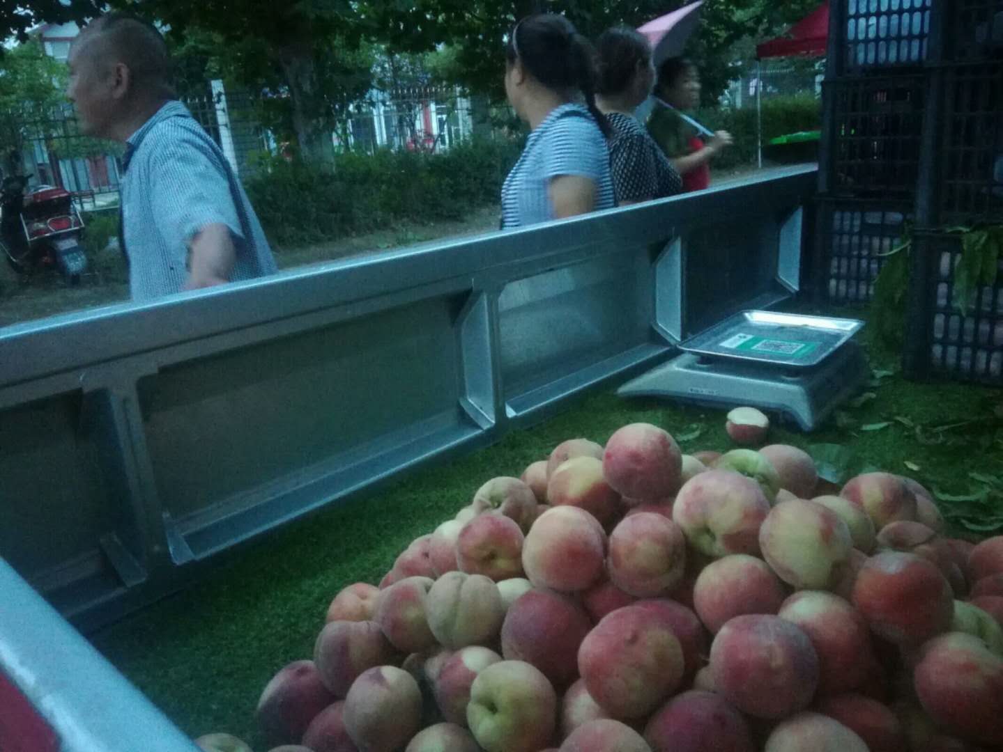 马驰地摊日记（3）师傅说我的鞋，像电影《少林足球》里面的球鞋