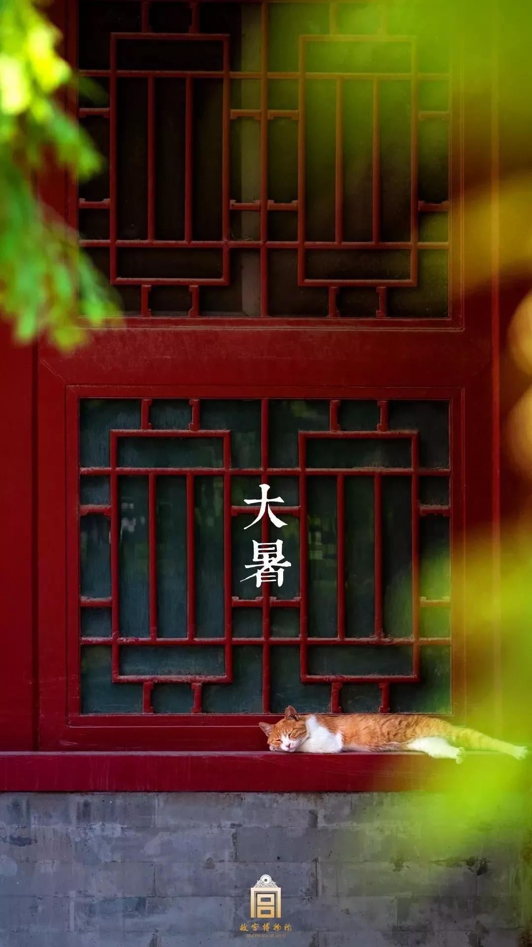 戏精博物馆文物,博物馆戏精文物