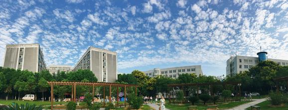 民办学校不好,民办学校真的很差吗