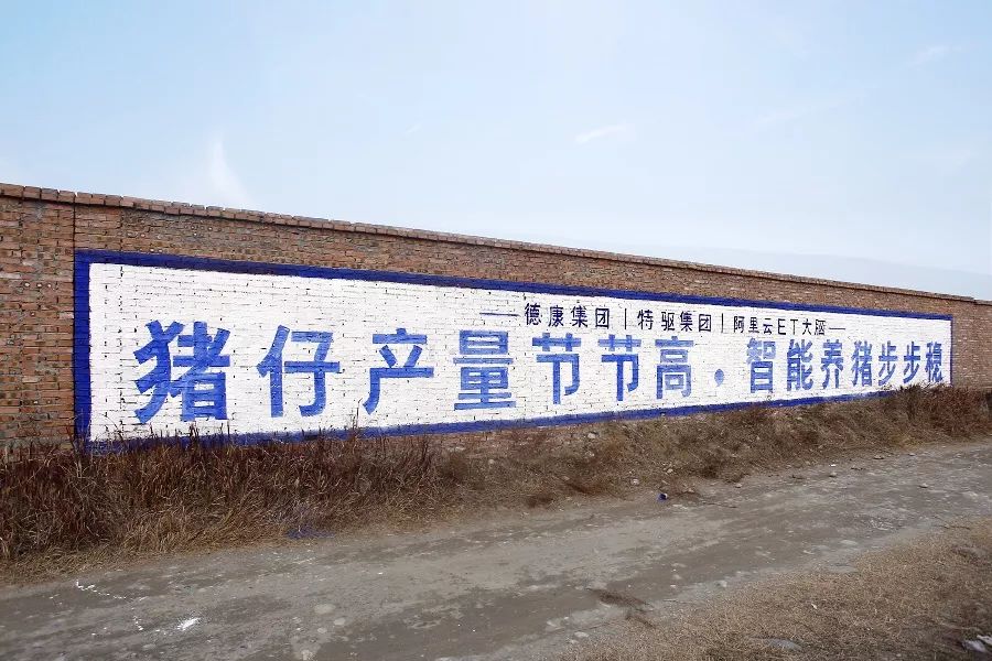 马云谈养猪的最新信息,马云为啥关注农业行业