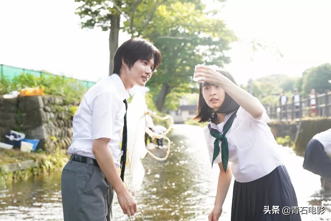 今晚月色真美是哪部小说的句子,今晚月色真美翻译