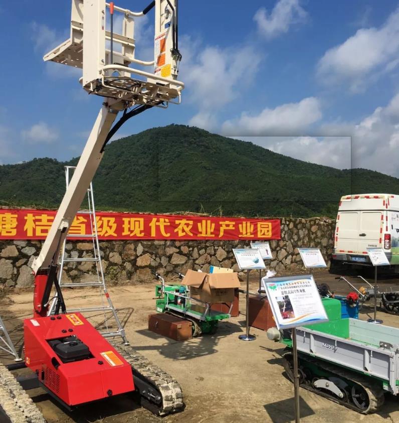 四会黄田镇沙糖桔果园,四会黄田镇党委书记