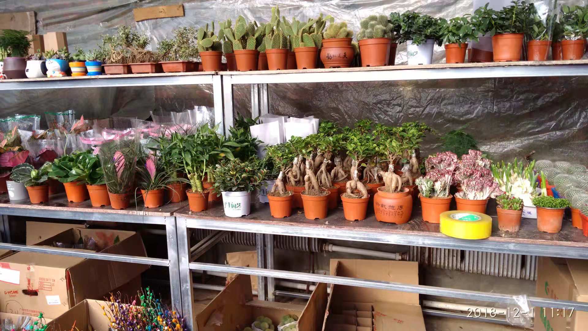 沈阳花卉市场扔花的地方,沈阳花卉市场