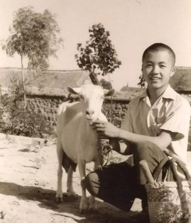 谢烨顾城最后一年,顾城写给谢烨最经典的一句话