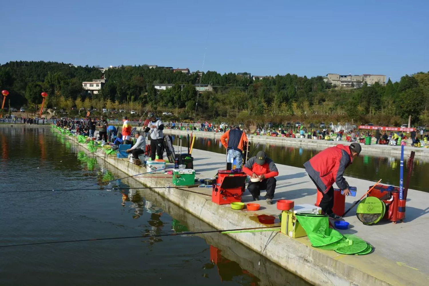 夏季钓鲤鱼小黄面配什么饵料最好,小黄面饵料钓鲤鱼是哪种