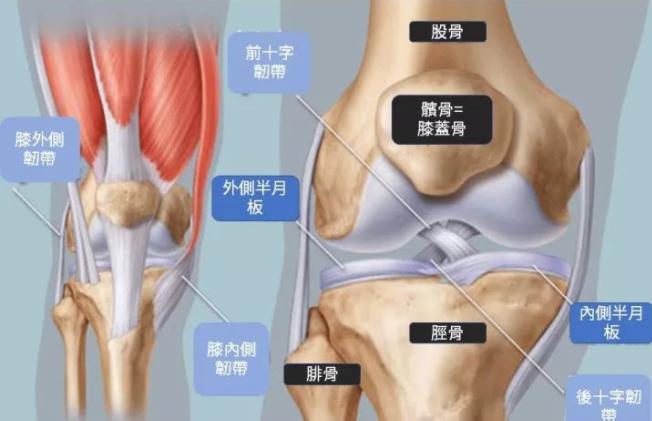 膝关节肿都不能回弯了怎么回事,膝关节肿胀并且不能弯曲和伸直