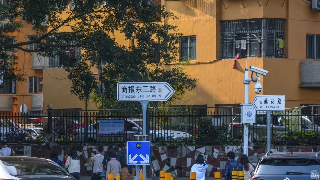 景甜有多大,景田是什么档次