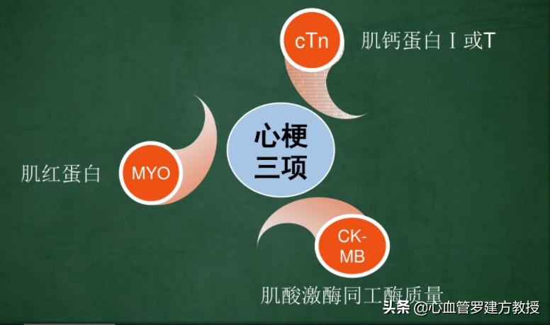 心肌三项中的myo偏高是心梗了吗,心梗三项ck7.42正常吗