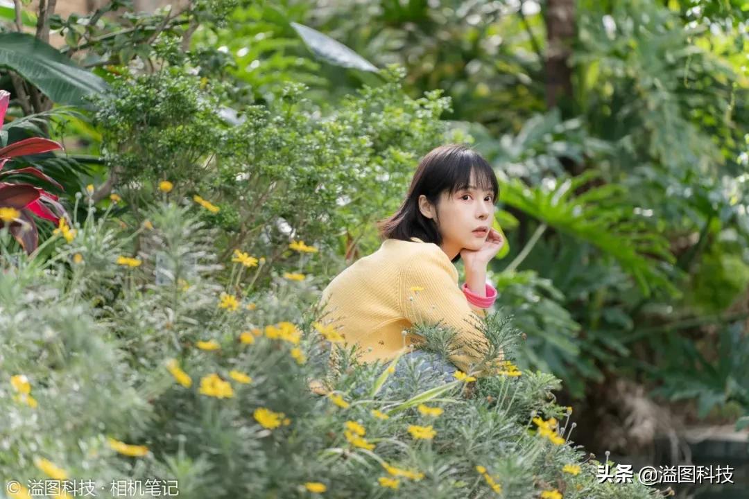 腾龙35-150f2.84.0和70-200怎么选,腾龙35-150mmf2.8拍人像