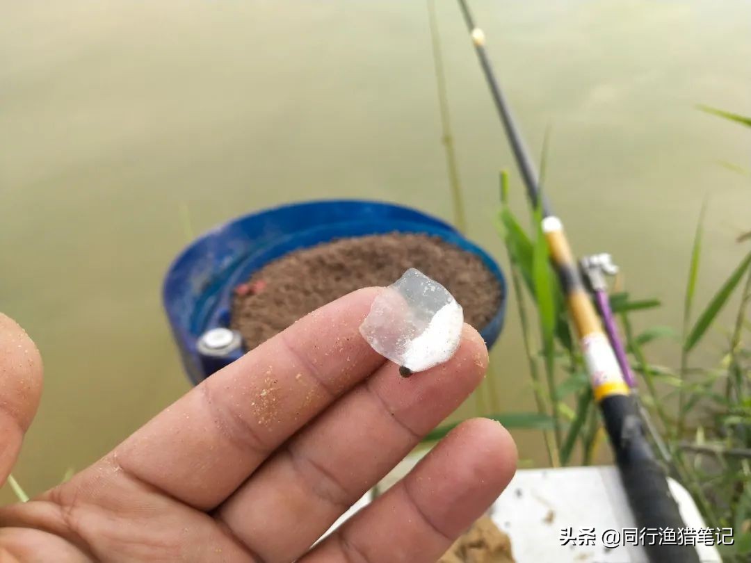 眼前的苟且不一定输给远方的诗——洛庄垂钓之行有感