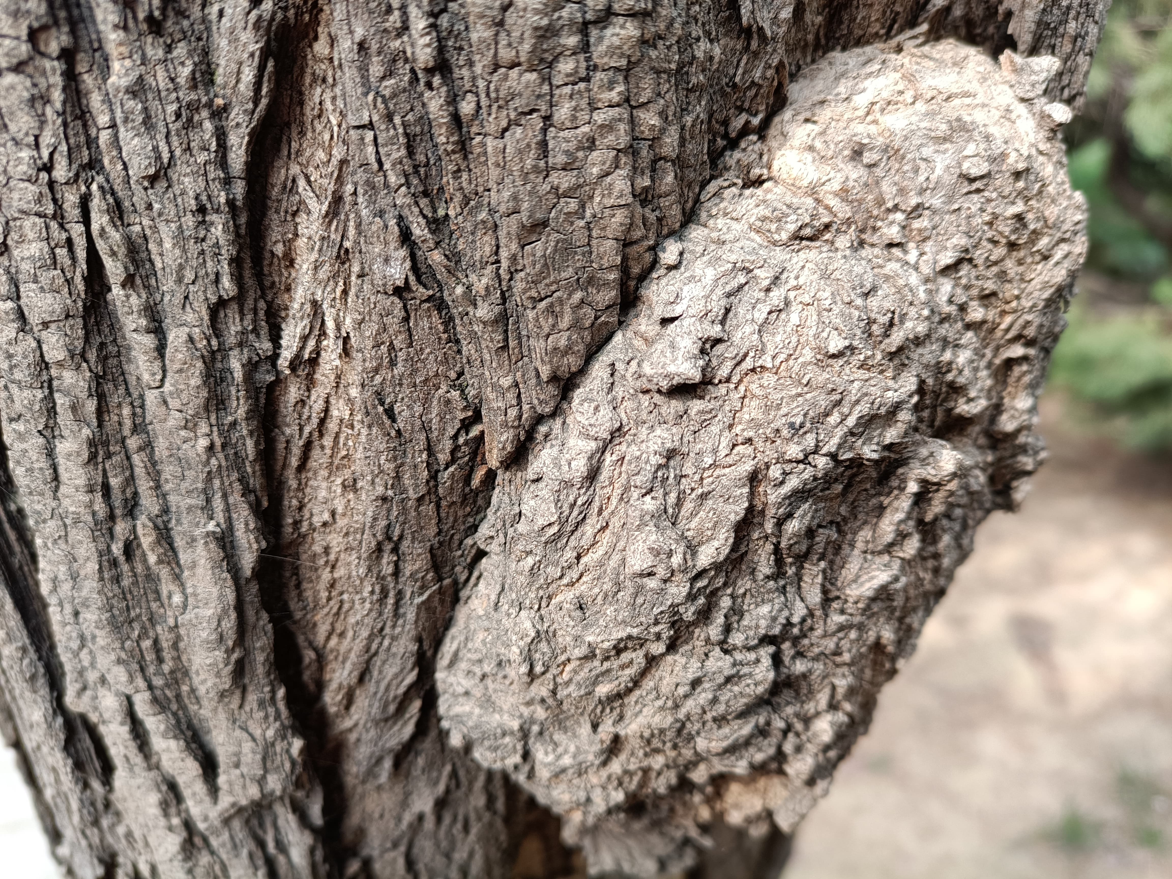 realmegtneo骁龙8,realmegtneo评测