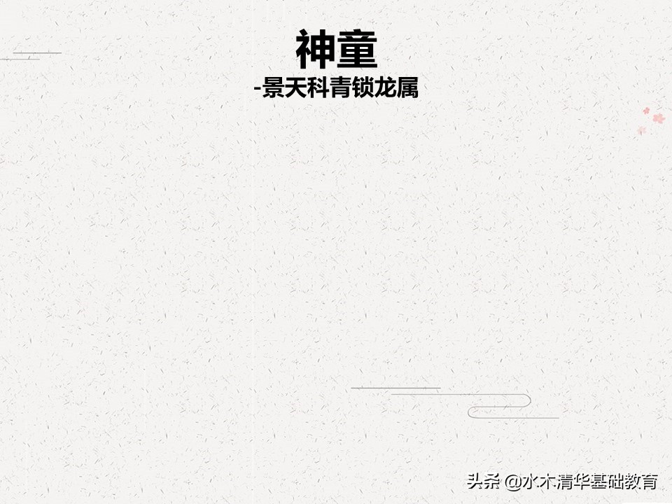 梦幻女王多肉植物百科图谱,原产地多肉植物图谱pdf