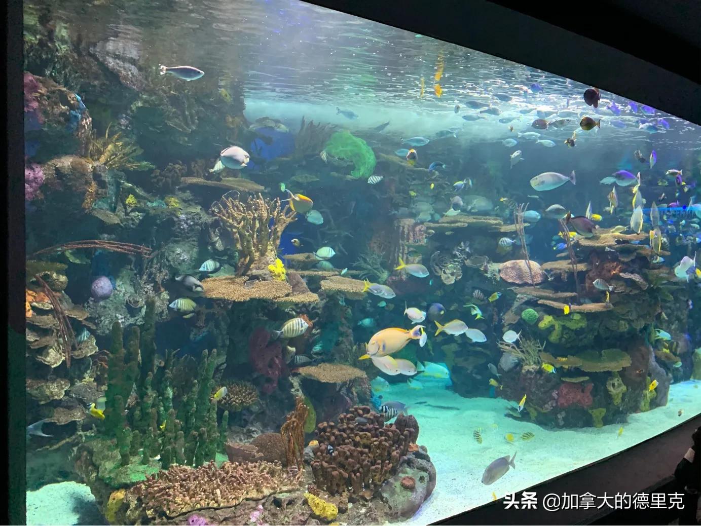 私家!我教你3天加10000粉丝,如何增加粉丝关注