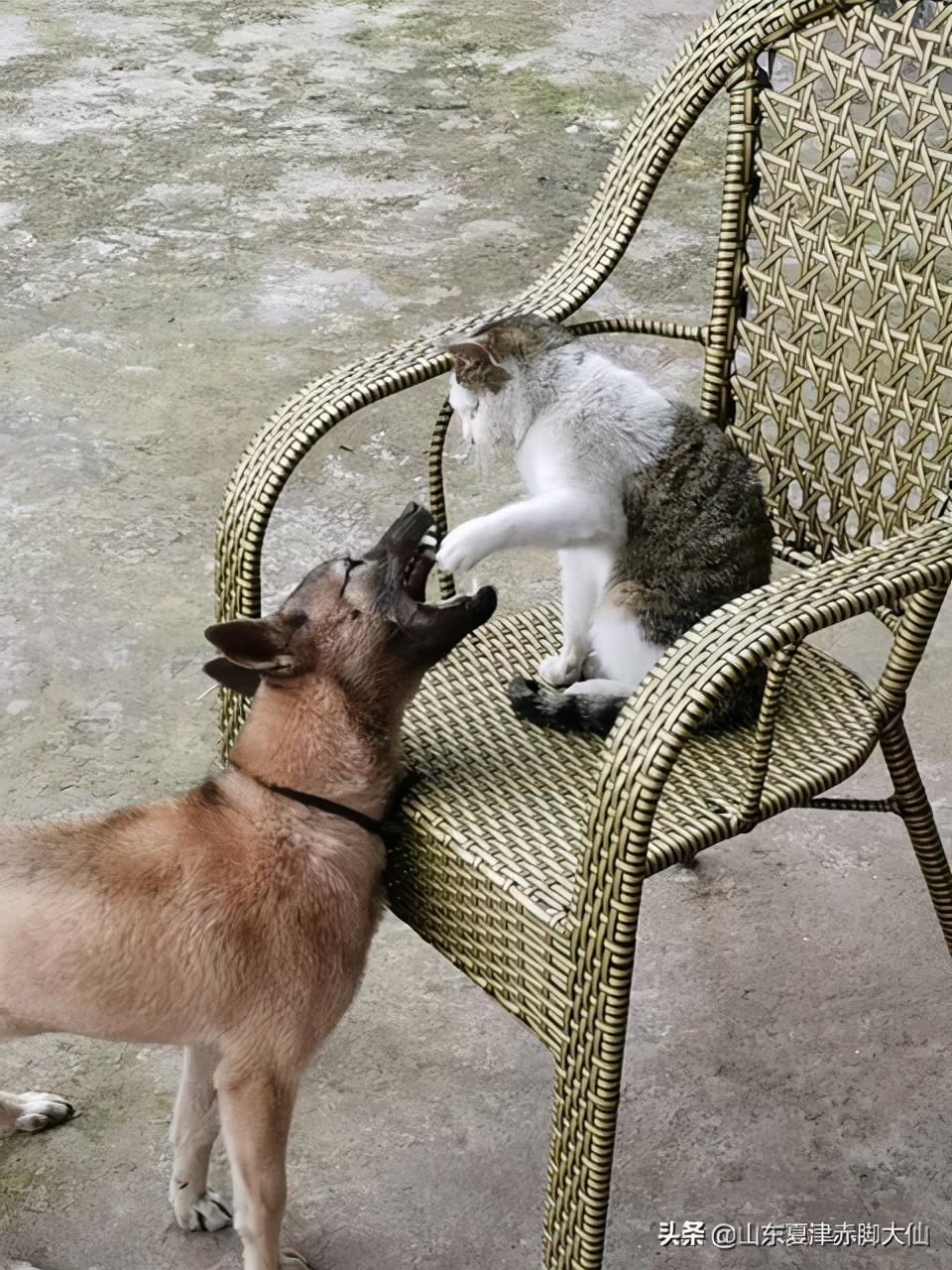 马赛克回车键在哪里,马赛克回车键