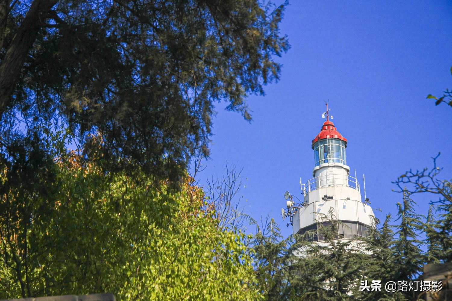 中国最适合宜居的城市烟台,烟台最宜居的地方是哪个区