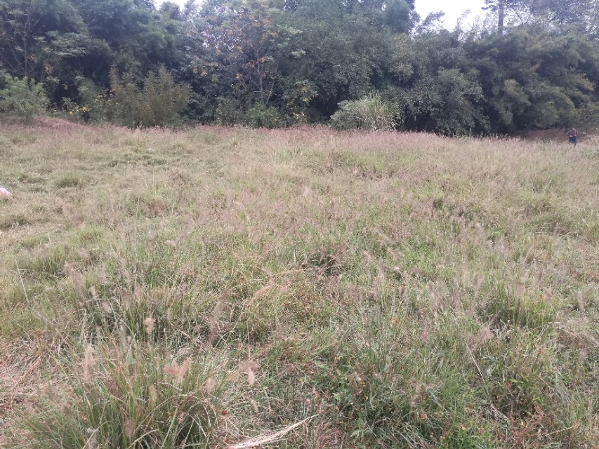 福州登云水库生态公园,福州新晋网红打卡景点在哪里