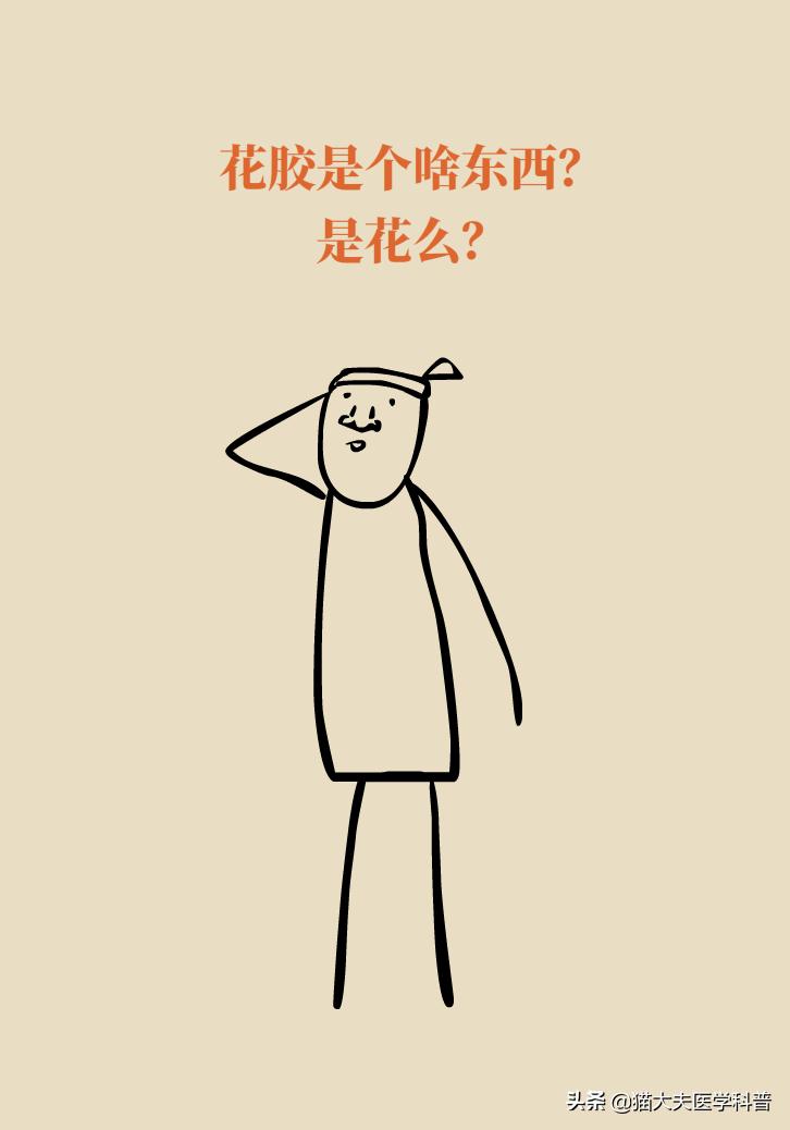 明星吃花胶,花胶的功效与作用排行榜