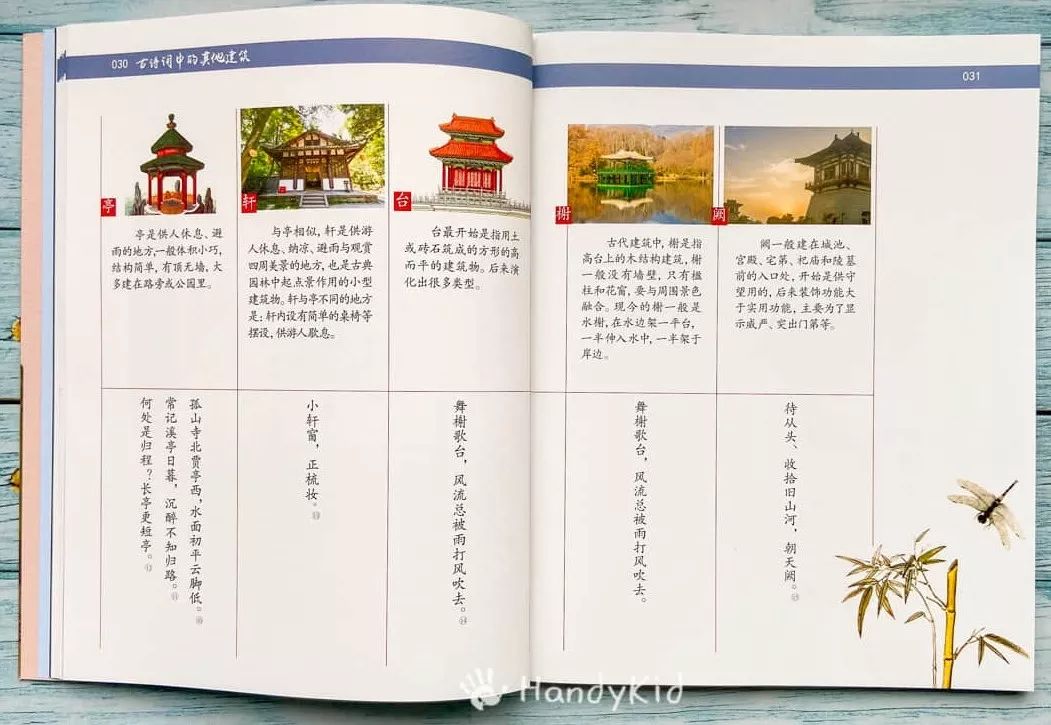 诗词死记硬背真可惜!小学语文特级老师,教娃解锁诗词学习新方法