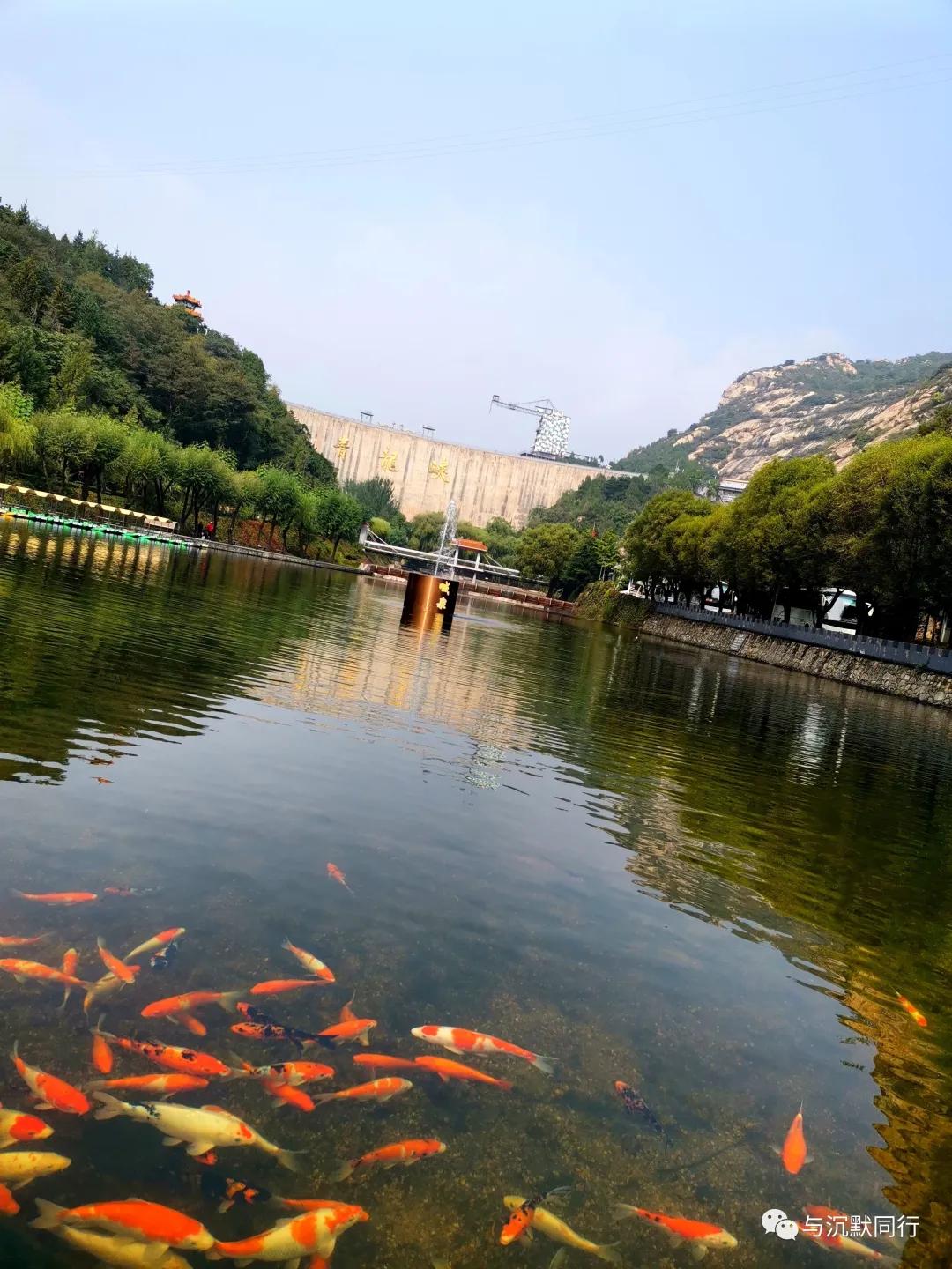 青龙峡漂流门票价格,青龙峡安宁