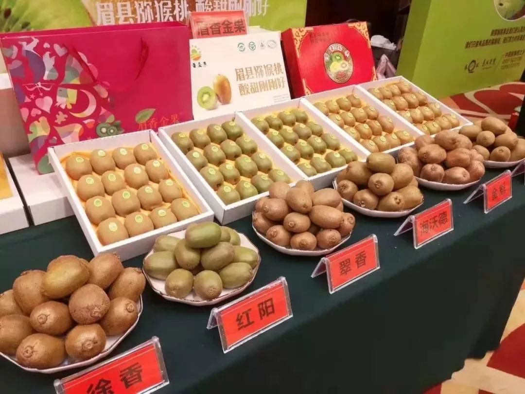 眉县猕猴桃为什么能上央视,眉县猕猴桃品牌故事