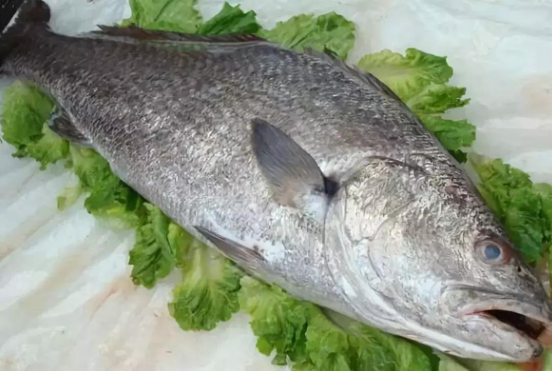 防城港怎么吃海鲜便宜不被坑,防城港干货海鲜有哪些