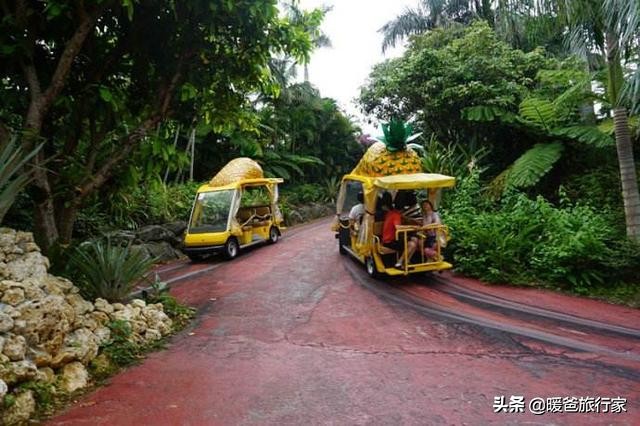 暑假带孩子去国外玩,寒假带孩子出国去哪里玩合适一些