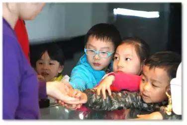 迪士尼梦幻亲子乐园幼儿园,这家幼儿园