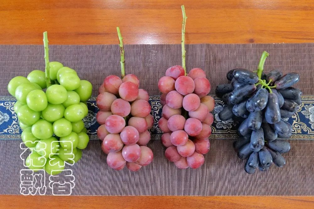 为什么大家都喜欢蹦迪,为什么喜欢跳坑