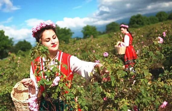 丹泽欧雅,丹泽欧雅富勒烯多肽焕颜面膜