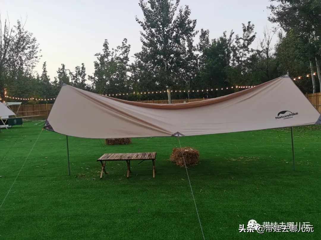 北京五环内新开萌宠乐园，除了喂动物，还能玩大滑梯、免费享帐篷