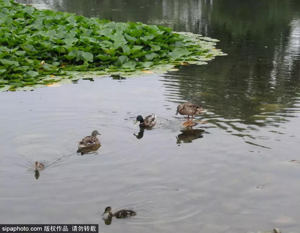 周末北京这些值得去的地方,北京周末来这儿玩