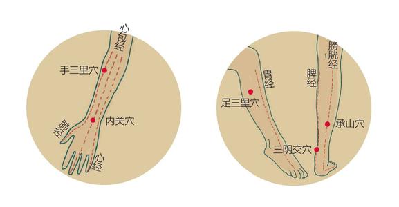针灸学习方法视频大全,初学针灸正规操作的视频