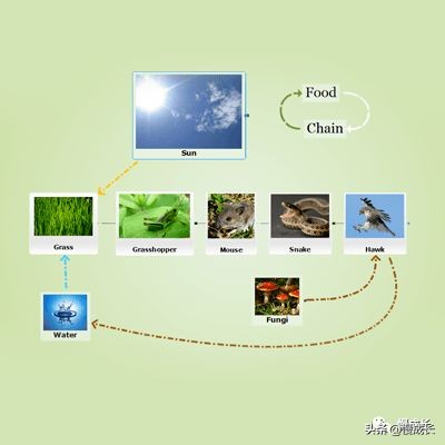 思维导图简单大方,思维导图不容错过