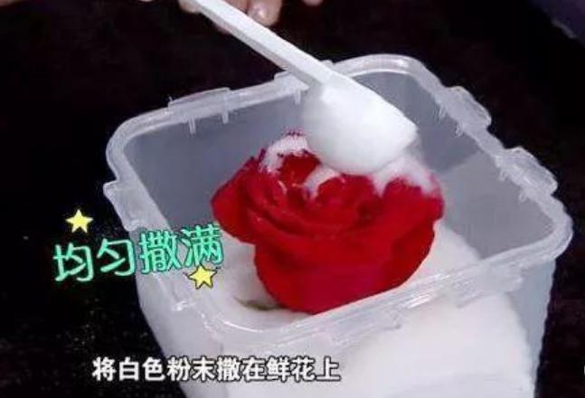 鲜花制作干花方法教程,鲜花制作干花的方法