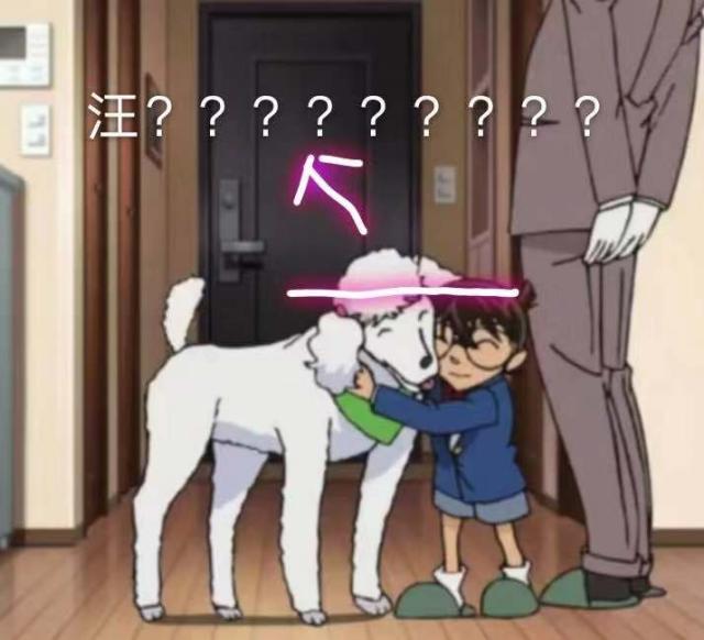 名侦探柯南身高排列,名侦探柯南智商和谁一样