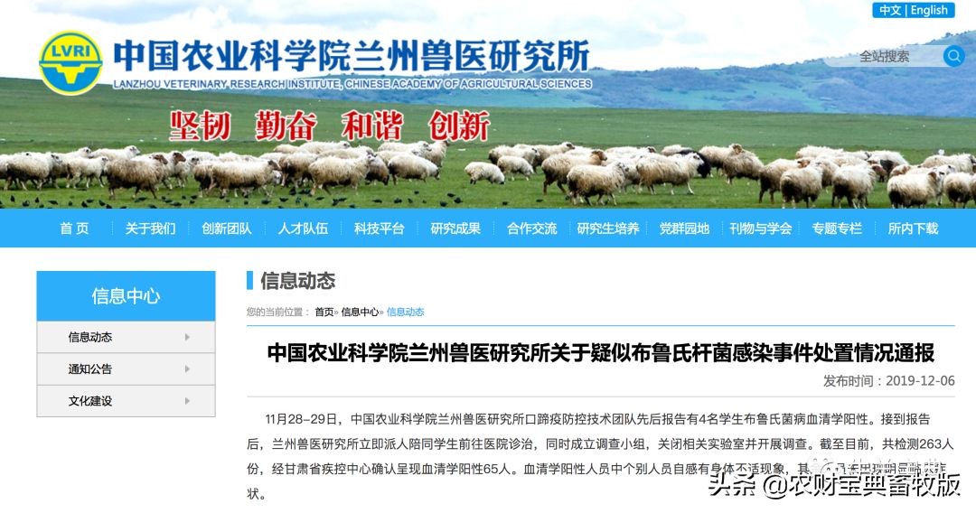 兰州兽研所布鲁氏菌病,兰州布鲁氏菌阳性