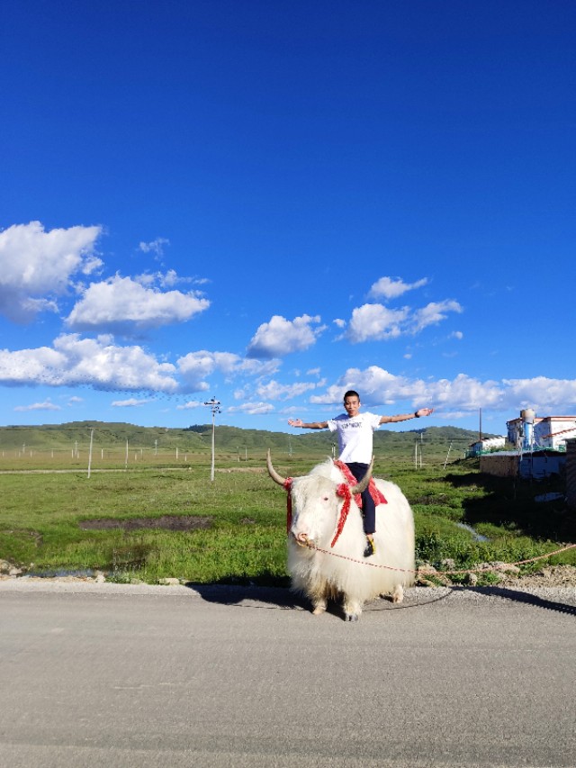 成都到茶卡盐湖旅游攻略,成都出发茶卡盐湖5日游
