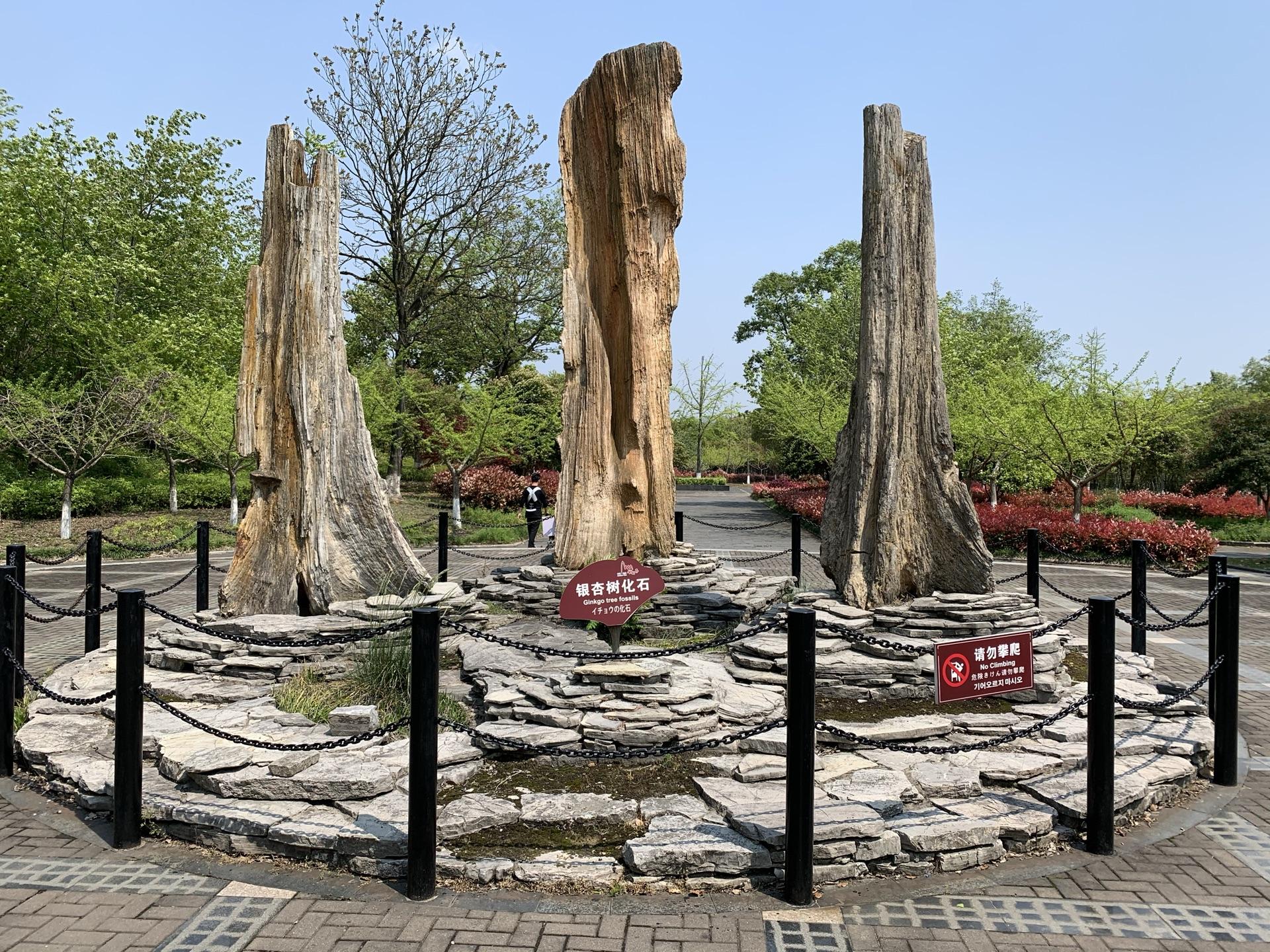 依山傍水说的就是这里,苏浙皖三省交界的长兴,是个低调的好地方