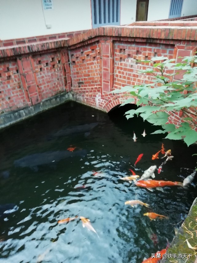 台湾环游记完整视频,台湾花莲游记