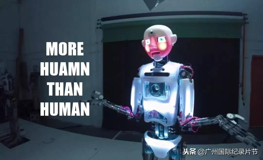 全国各地大型纪录片,2022年已上映的10部大片