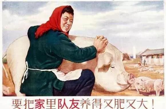 快过年了,别得罪任何一个有娃的中年妇女