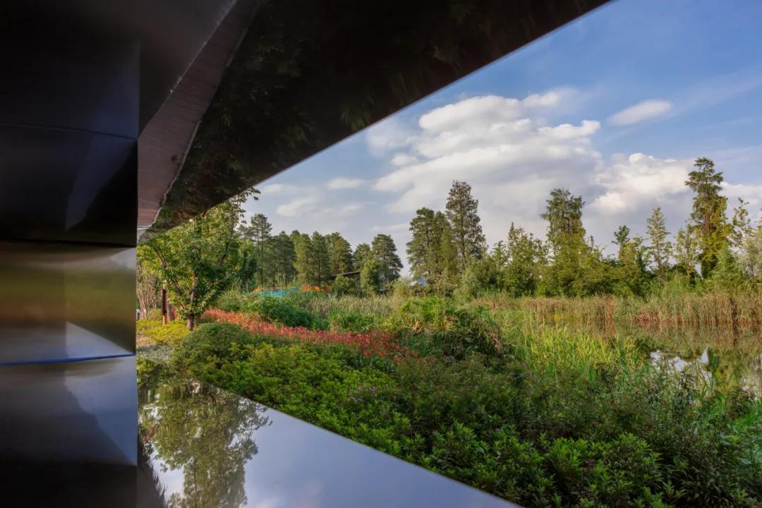 武汉华侨城湿地公园绿化,华侨城生态湿地公园武汉什么区