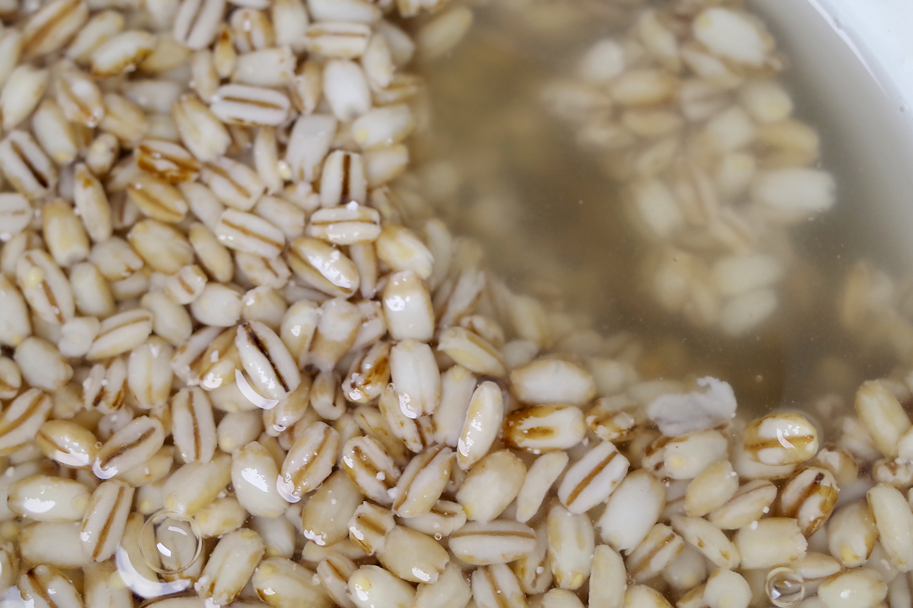 酒酿加椰奶,酒酿加蜂蜜