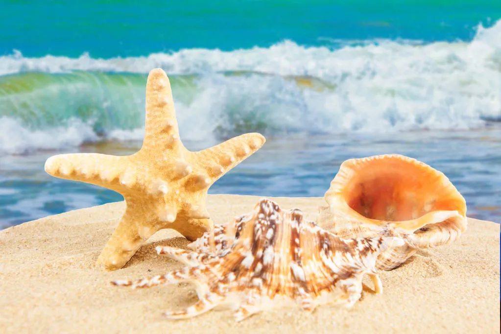 众信旅游引阿里入股,众信旅游与阿里合作