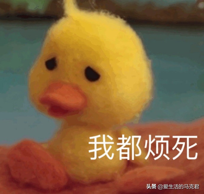 买空气炸锅怎么选牌子好用,空气炸锅哪一款最好用博主测评