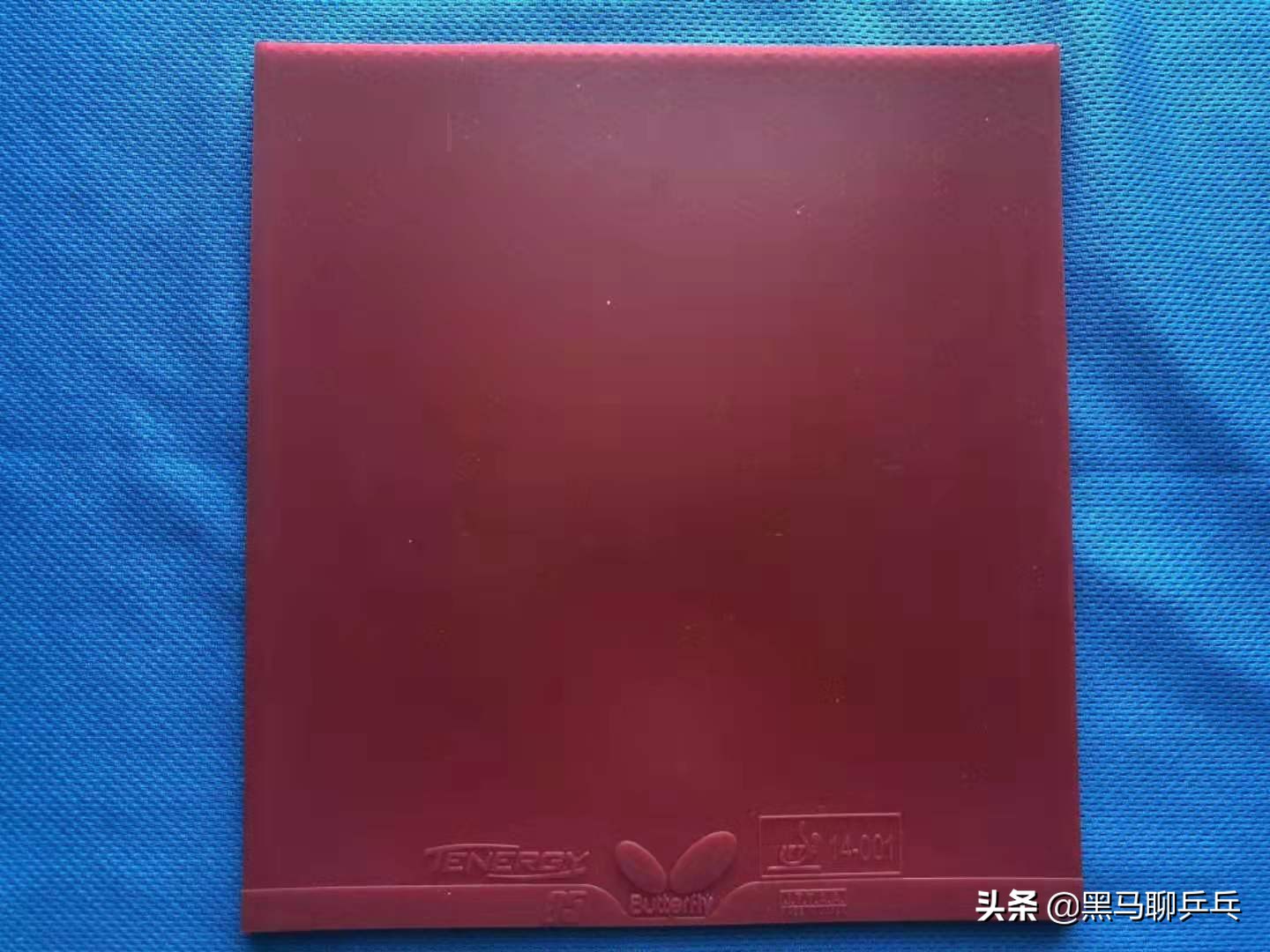 每周乒乓球观察,每周乒乓球观察视频